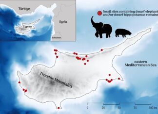 Тайна Микроскопических Гигантов Кипра: Разгадка Древней Трагедии Мегафауны