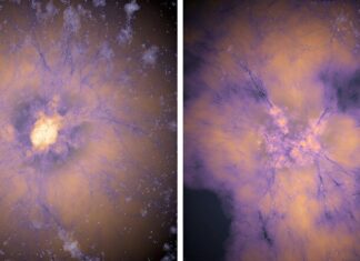 Тайна Ранней Вселенной: Может ли “Антигравитация” Объяснить Ее Загадки?