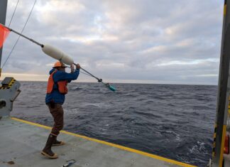 Микроскопические Вкусы, Макроскопические Последствия: Как Пищевые Предпочтения Бактерий Формируют Цикл Углерода в Океане