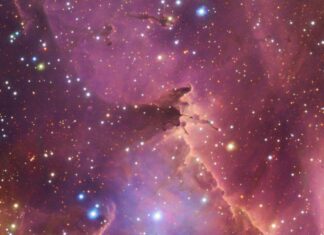 Космический Питомник: Путешествие сквозь Млечный Путь в «Бегущем Цыпленке»