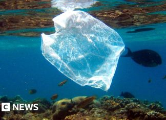 Пластикові пакети: чи обмежили заборони та збори розповсюдження сміття на береговій лінії?