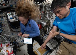 Космічні гематологи: як астронавти збирають кров на МКС і що це означає для майбутнього дослідження космосу