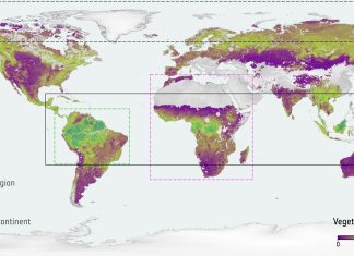Супутникові дані показують 15-річні тенденції зберігання вуглецю в лісах по всьому світу