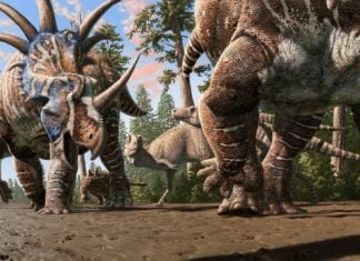 Палеонтологи виявили перші докази багатовидового стада динозаврів