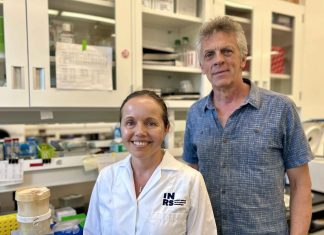 Нова робота проливає світло на стратегії виживання паразитів, що викликають лейшманіоз