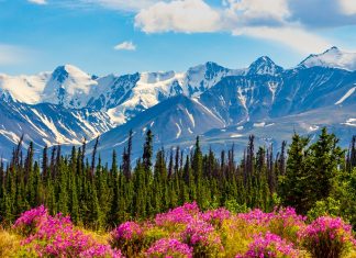 Дослідження показують, що розлом “сплячого гіганта” під Канадою може призвести до сильного землетрусу