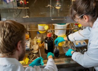 Вчені перетворюють пластикові відходи в ефективні матеріали для захоплення вуглекислого газу