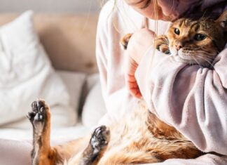 Володіння кішкою змінить ваш мозок. Ось як.