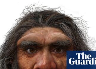 Дослідження 1-річного черепа вказує на попереднє походження сучасних людей