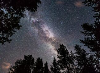 Не пропустіть, як зірки” літнього трикутника ” мерехтять разом з Чумацьким Шляхом після заходу сонця