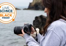 Canon EOS R5 II: професійна камера зі знижкою 230 доларів США в Чорну п’ятницю