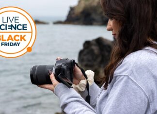 Canon EOS R5 II: професійна камера зі знижкою 230 доларів США в Чорну п’ятницю