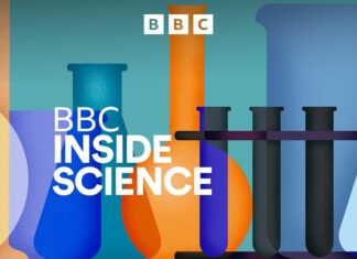 Чому ми любимо грати в ігри?