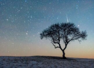 Ніч падаючих зірок: чому цьогорічний метеоритний дощ Леонарда може бути особливо яскравим