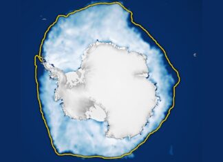 Антарктичний лід досяг третього найнижчого зимового максимуму за всю історію спостережень