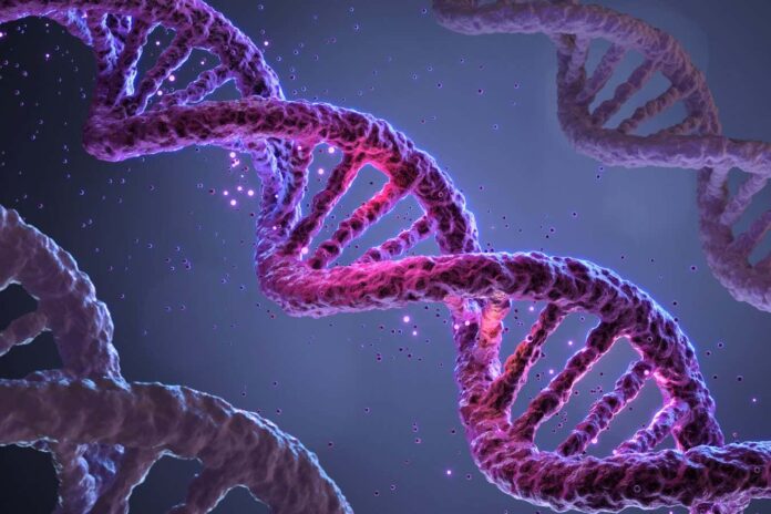 886fb636-4b5f-4375-865b-48e952c2abb1