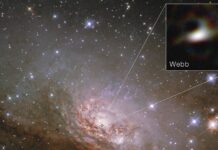 Телескоп Джеймса Вебба розгадав далеку таємницю чорних дір