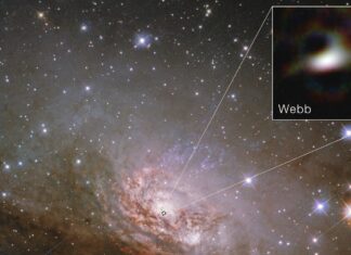 Телескоп Джеймса Вебба розгадав далеку таємницю чорних дір