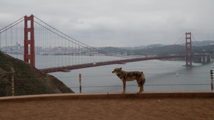 2e3acfbc-951f-4084-b651-d4ef799e64d2