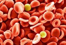 Нова група крові людини виявлена після 50 років таємниці