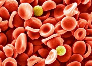 Нова група крові людини виявлена після 50 років таємниці