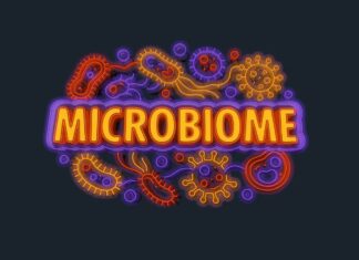 Мікробна революція: від стародавніх засобів до сучасної медицини