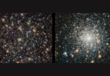Телескоп Джеймса Вебба показує, як «зірки-вампіри» обманюють вік у стародавніх галактиках