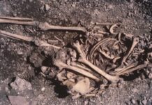 Стародавні Родинні Зв’язки: ДНК Розкриває Дивовижні Сімейні Узи в 5500-літньому Шведському Цвинтарі