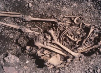 Стародавні Родинні Зв’язки: ДНК Розкриває Дивовижні Сімейні Узи в 5500-літньому Шведському Цвинтарі