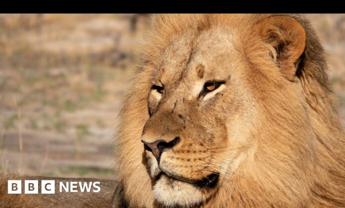 18cf48db-7896-438f-8335-addb40903831