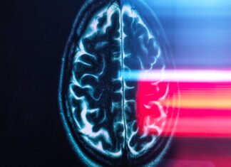 Мозок Астронавтів Зсувається Під час Космічних Польотів: Нове Дослідження Розкриває Фізичні Зміни