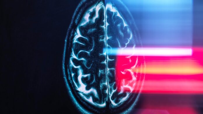 25e19137-2484-45ca-97db-4f1ae2278ba6