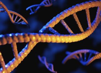 Підйом споживчої генетики: обіцянки, ризики та необхідність регулювання