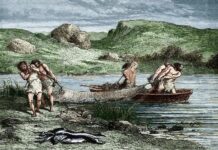 Несподіване походження британського бронзового віку: ДНК розкриває зв’язок із Північним морем