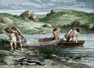 Несподіване походження британського бронзового віку: ДНК розкриває зв’язок із Північним морем