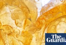 Tłuszcz: nie tylko substancja obojętna – dynamiczny organ ciała