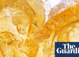 Жир: Не Просто Інертна Речовина – Динамічний Орган Тіла