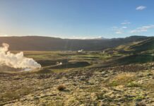 Микробы в Прогревающихся Почвах Запасают Азот, Нарушая Экосистемы