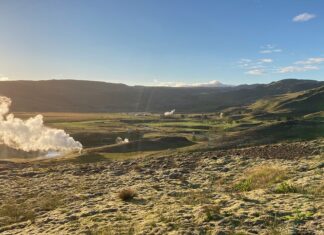 Мікроби в грунтах, що прогріваються, накопичують азот, порушуючи екосистеми