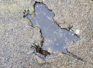 «Щуряча нора» Чикаго, ймовірно, не від щура, кажуть вчені