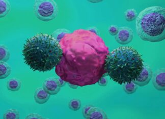 CAR T-Клітинна Терапія Дає Надію на Уповільнення Прогресування БАС