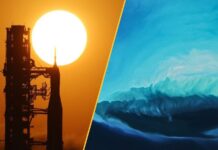 Наука на цьому тижні: Розмноження в космосі, ядерні ракети та звірячий апетит