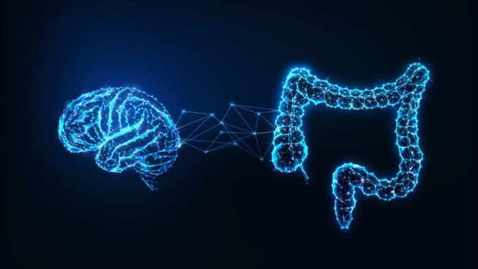 14dd83b0-4e66-4a00-9ead-d5b1dd34a36f