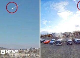 Огляд новин США: Від польових квітів до політичних потрясінь