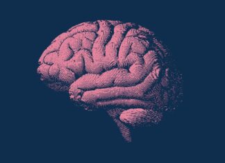 Дієта MIND Пов’язана з уповільненням старіння мозку на 2,5 року, виявило нове дослідження