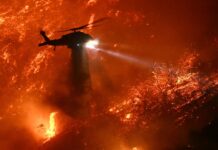 Захід США готується до важкого сезону лісових пожеж на тлі розширення зон ризику