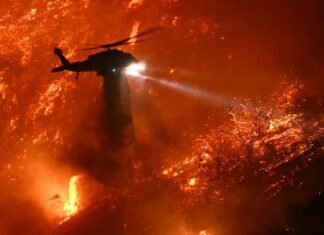 Захід США готується до важкого сезону лісових пожеж на тлі розширення зон ризику