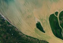 Tela astratta della natura: come la luna delle fragole ha dipinto un fiume indonesiano