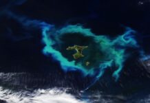 Сяюче кільце життя та небезпеки: двоїста природа островів Чатем