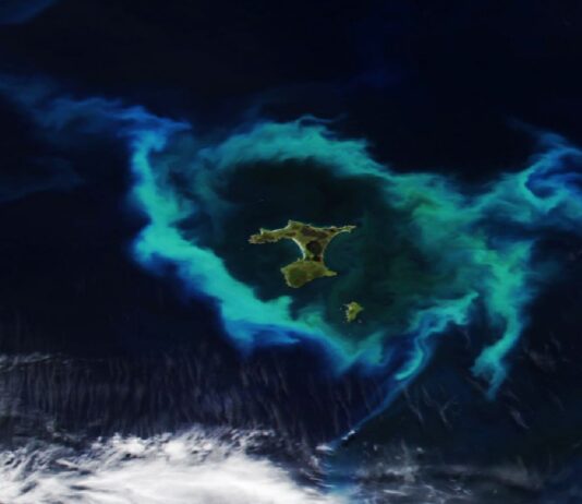 Сяюче кільце життя та небезпеки: двоїста природа островів Чатем